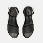 Carolina-D505-ANILEX-BLACK