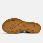 ISQUIA-D388-ANILEX-ELFO - ISQUIA